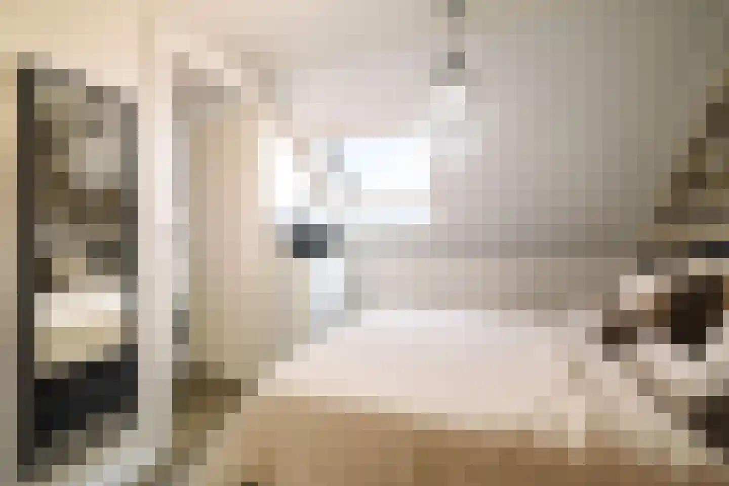 Rietgors 60 Olst thumbnail 25