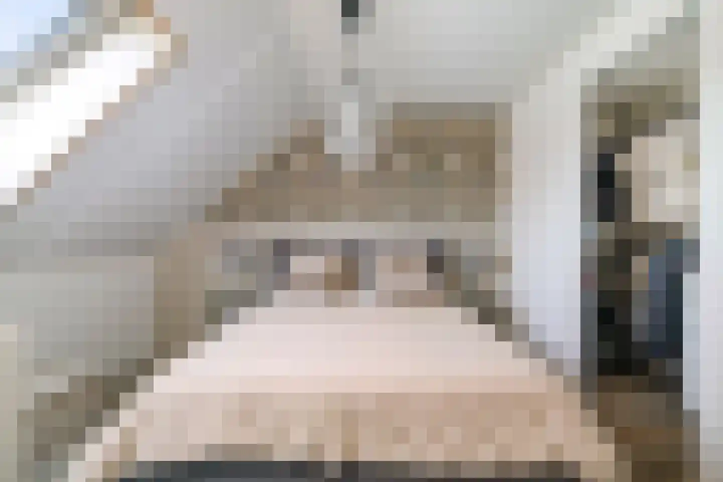 Rietgors 60 Olst thumbnail 27