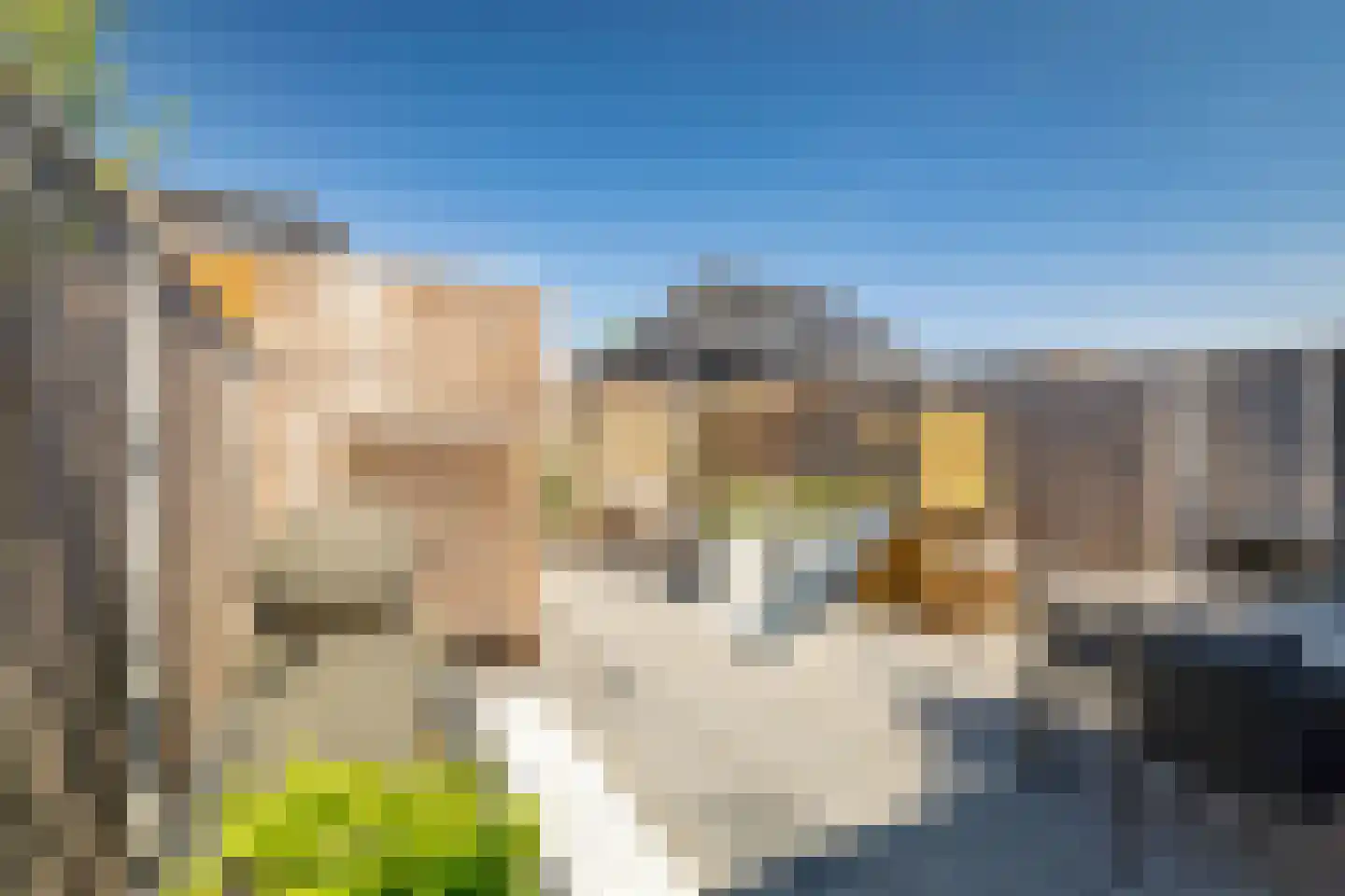 Rietgors 60 Olst thumbnail 28