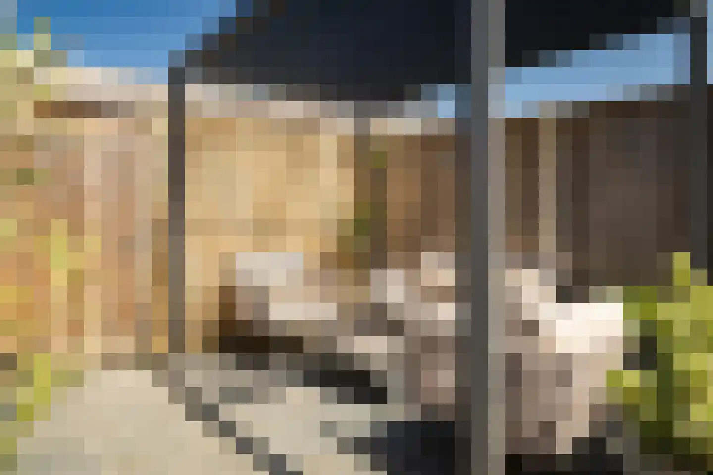 Rietgors 60 Olst thumbnail 30