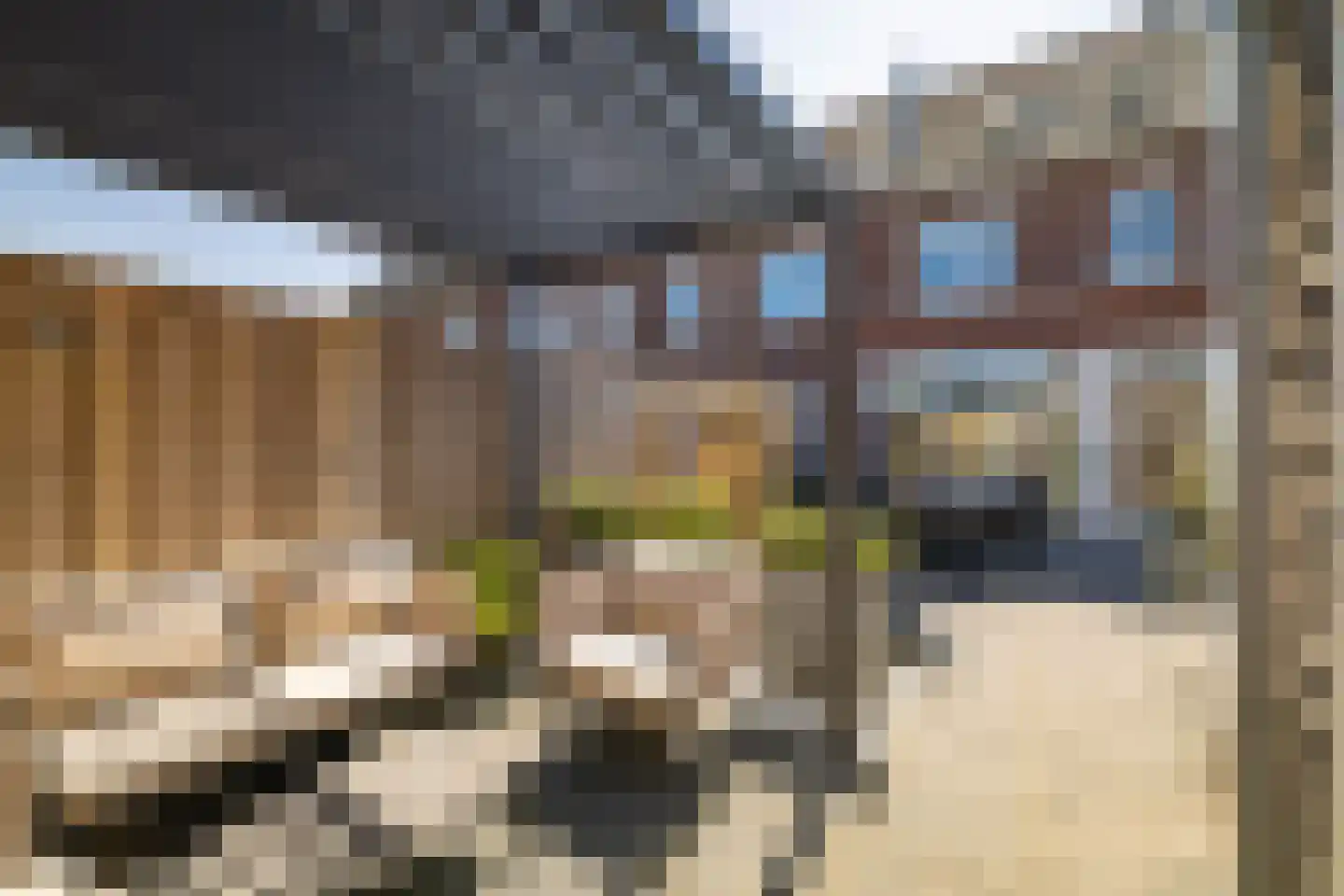 Rietgors 60 Olst thumbnail 31