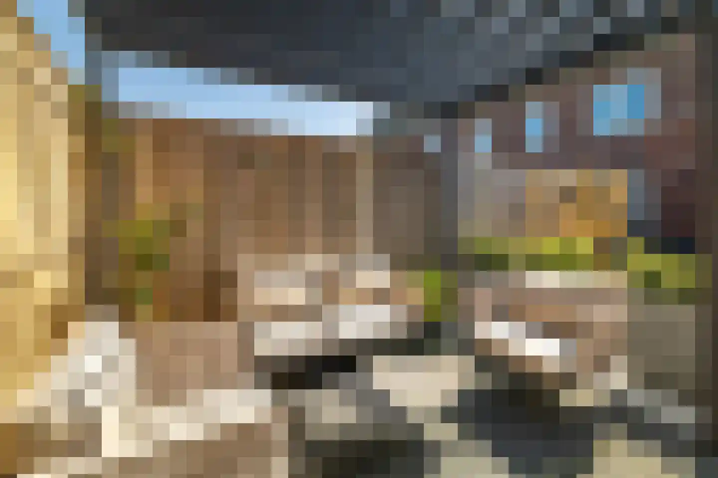 Rietgors 60 Olst thumbnail 32