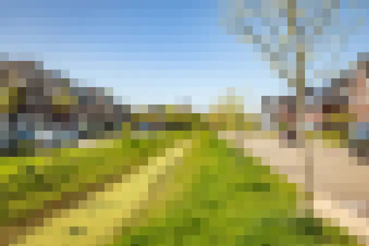 Rietgors 60 Olst thumbnail 37