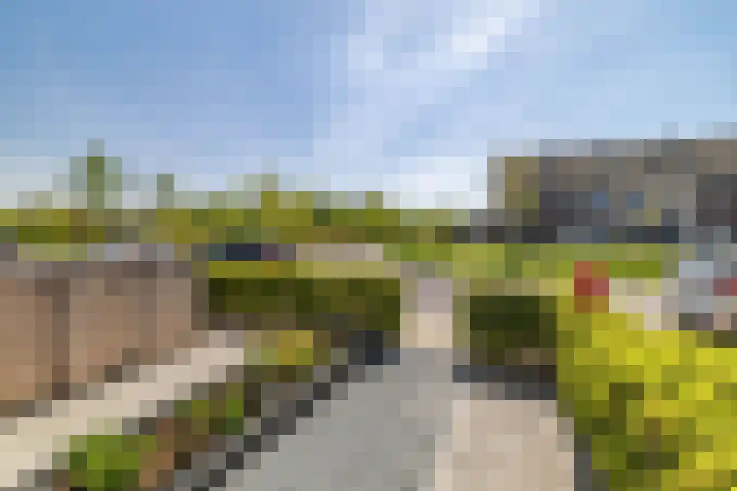 Rietgors 60 Olst thumbnail 39