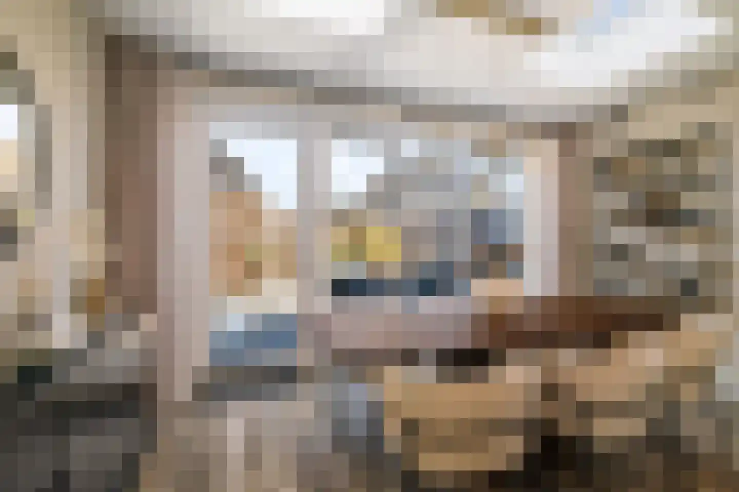 Rietgors 60 Olst thumbnail 4
