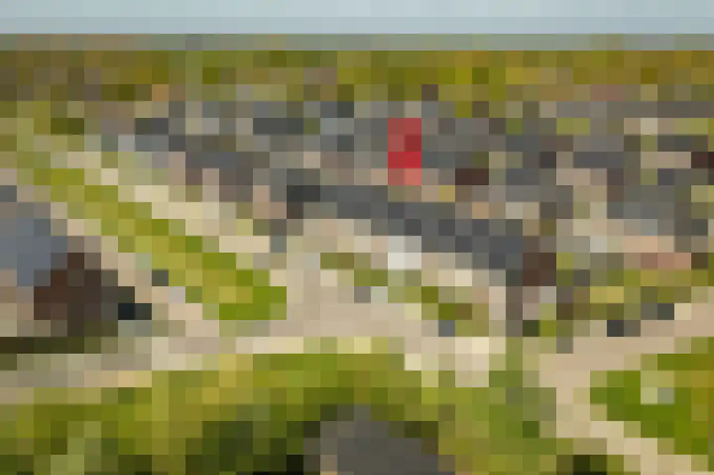 Rietgors 60 Olst thumbnail 40