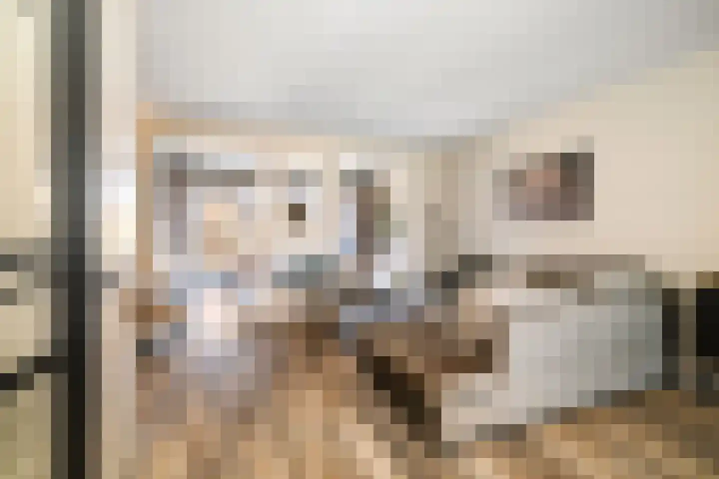 Rietgors 60 Olst thumbnail 5