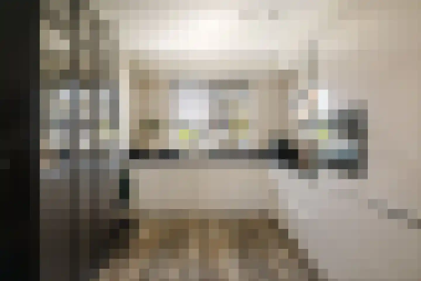 Rietgors 60 Olst thumbnail 6