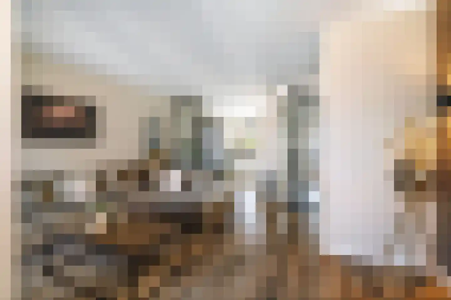 Rietgors 60 Olst thumbnail 9