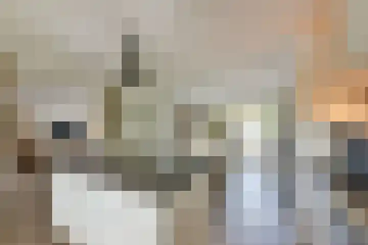Rietgors 7 Mijdrecht thumbnail 10