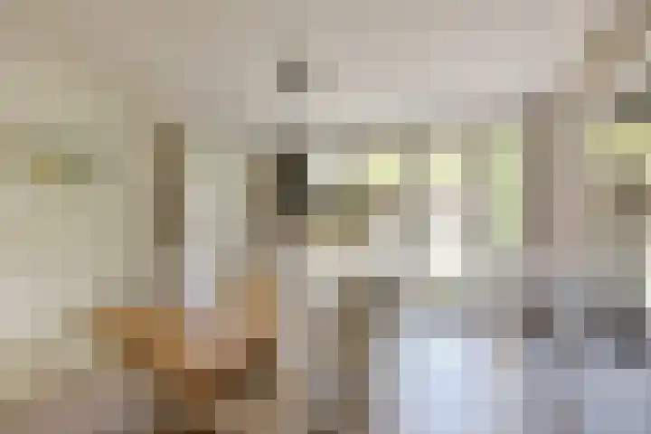 Rietgors 7 Mijdrecht thumbnail 14