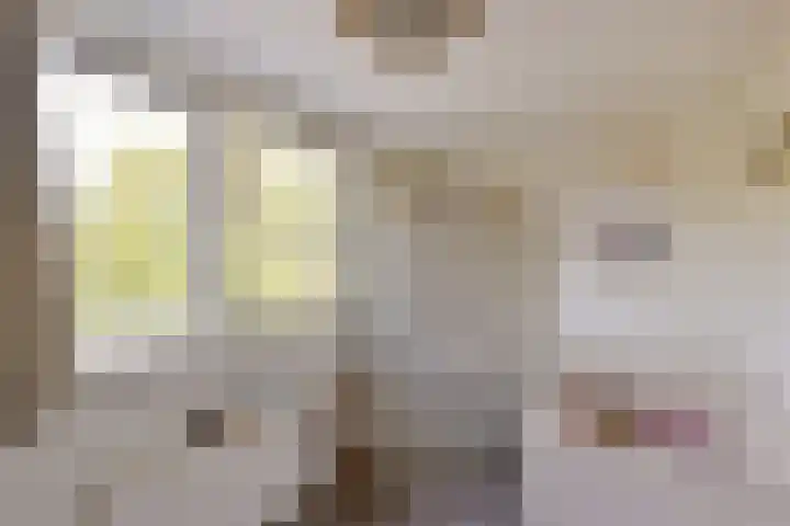 Rietgors 7 Mijdrecht thumbnail 27