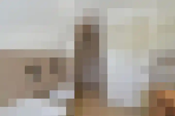 Rietgors 7 Mijdrecht thumbnail 35