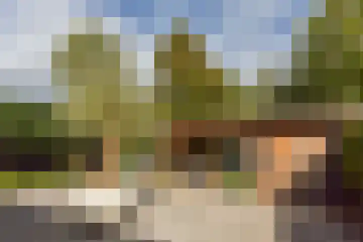 Rietgors 7 Mijdrecht thumbnail 37