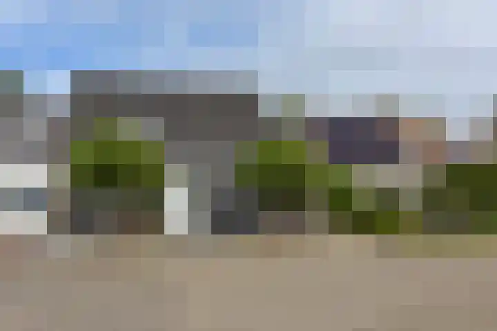 Rietgors 7 Mijdrecht thumbnail 42