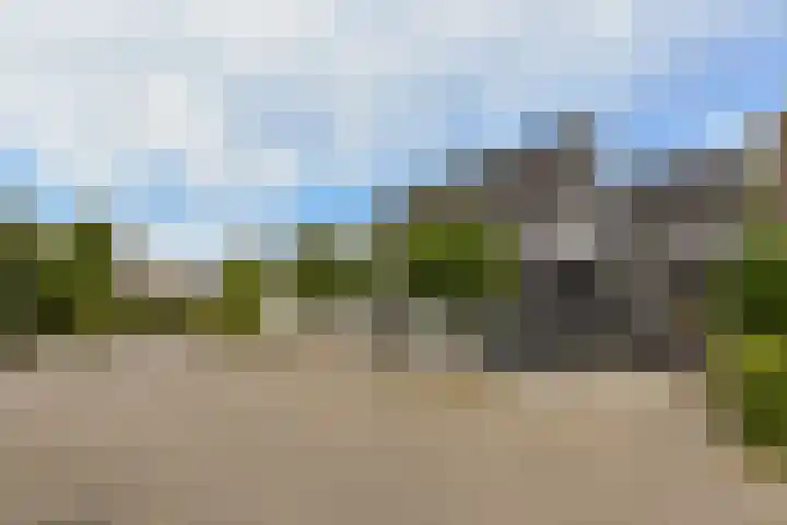Rietgors 7 Mijdrecht thumbnail 43