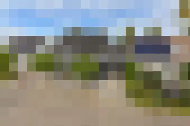 Rietgors 7 Mijdrecht thumbnail 44
