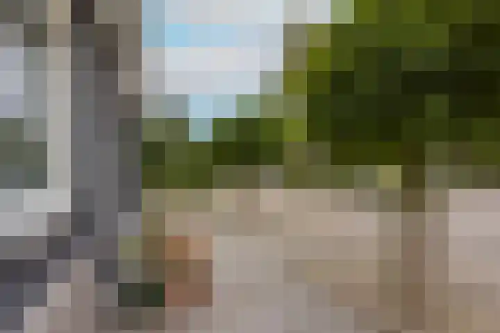Rietgors 7 Mijdrecht thumbnail 45
