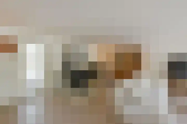 Rietgors 7 Mijdrecht thumbnail 5