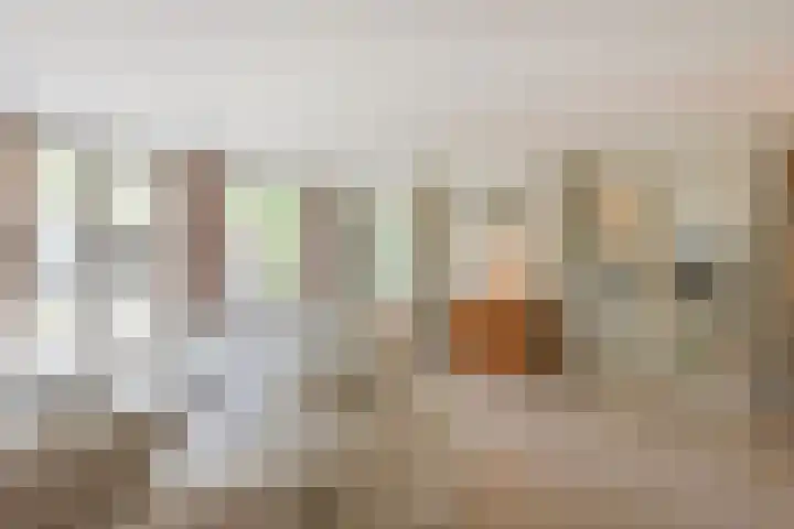 Rietgors 7 Mijdrecht thumbnail 6