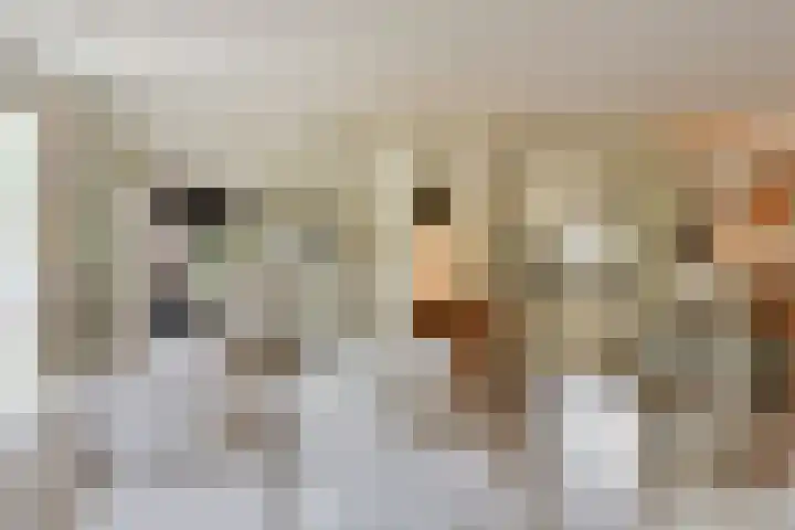 Rietgors 7 Mijdrecht thumbnail 8
