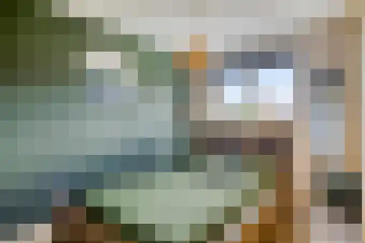 Rietgors 7 Olst thumbnail 15