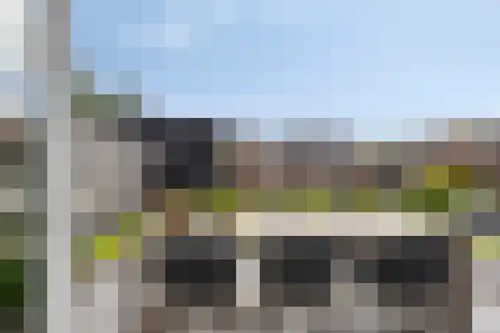 Rietgors 7 Olst thumbnail 25