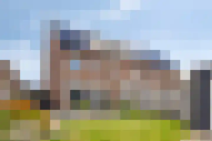 Rietgors 7 Olst thumbnail 26