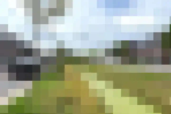 Rietgors 7 Olst thumbnail 36
