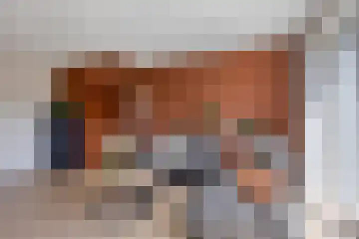 Rietgors 7 Olst thumbnail 5