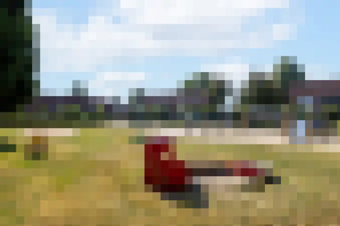 Rietgors 71 IJsselmuiden thumbnail 38