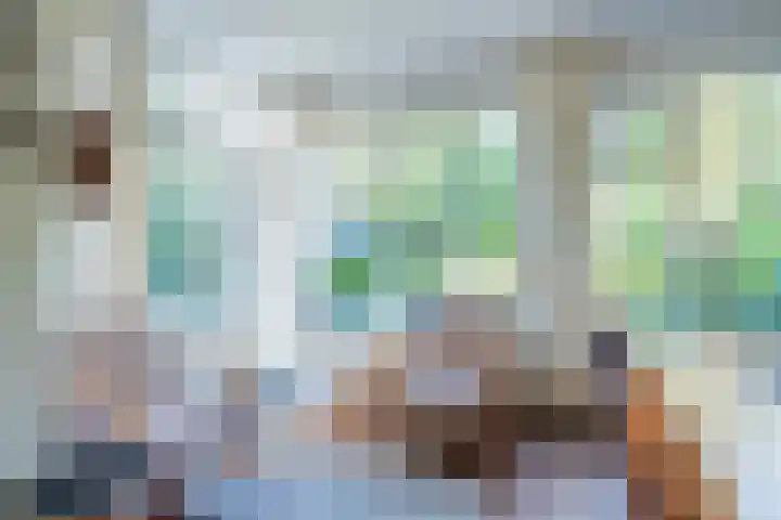 Rietgors 8 Venhuizen thumbnail 11
