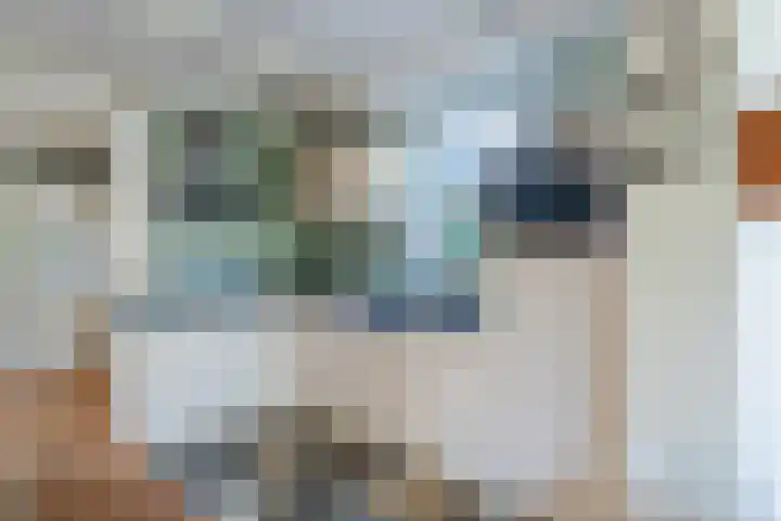 Rietgors 8 Venhuizen thumbnail 12