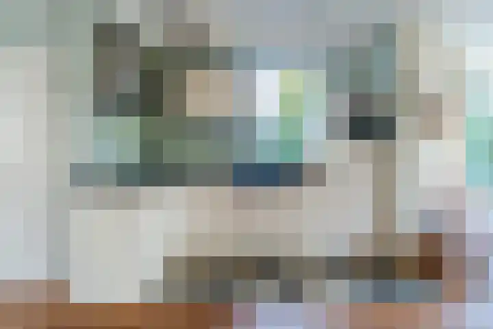 Rietgors 8 Venhuizen thumbnail 13