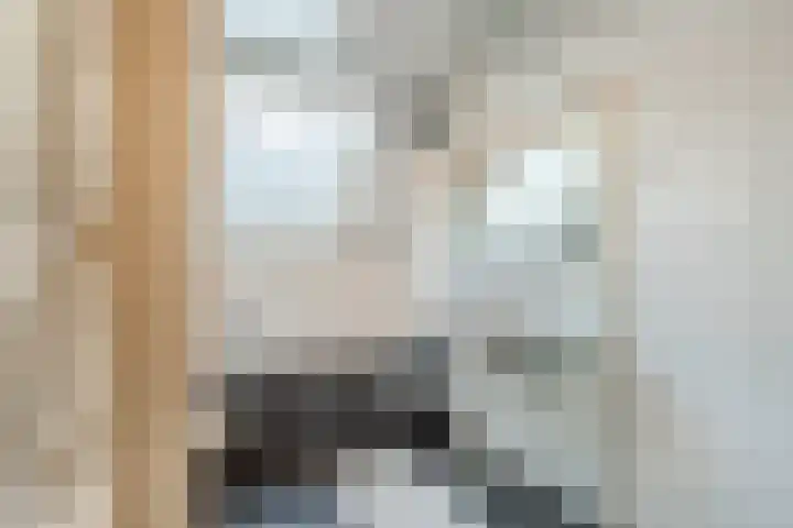 Rietgors 8 Venhuizen thumbnail 19