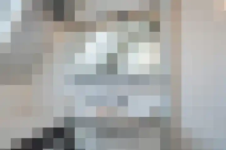 Rietgors 8 Venhuizen thumbnail 20