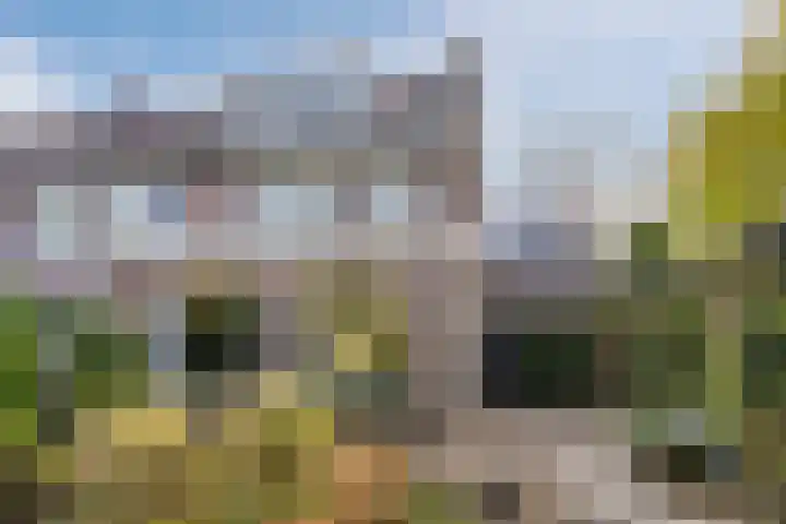 Rietgors 8 Venhuizen thumbnail 29