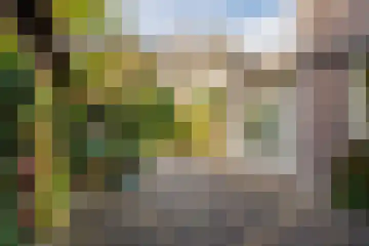 Rietgors 8 Venhuizen thumbnail 30