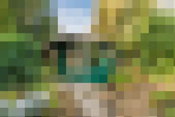 Rietgors 8 Venhuizen thumbnail 31