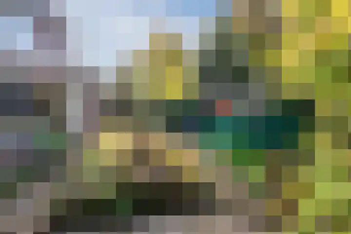 Rietgors 8 Venhuizen thumbnail 33