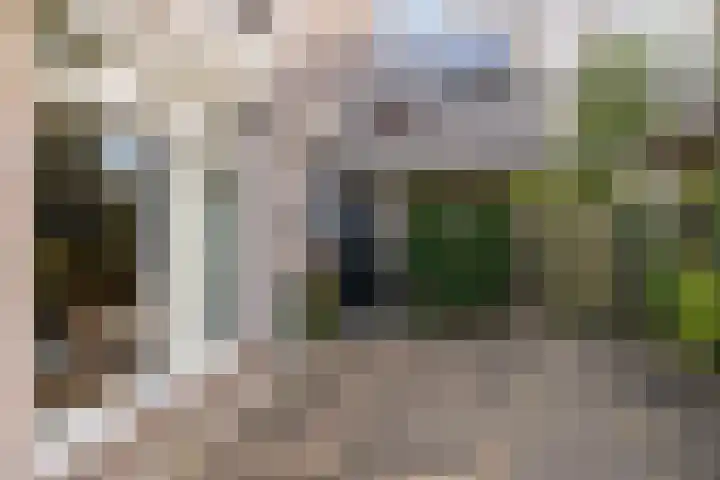 Rietgors 8 Venhuizen thumbnail 34