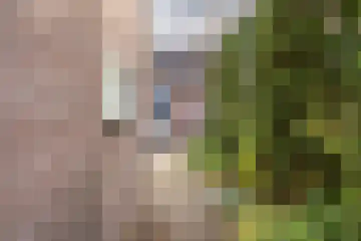 Rietgors 8 Venhuizen thumbnail 35