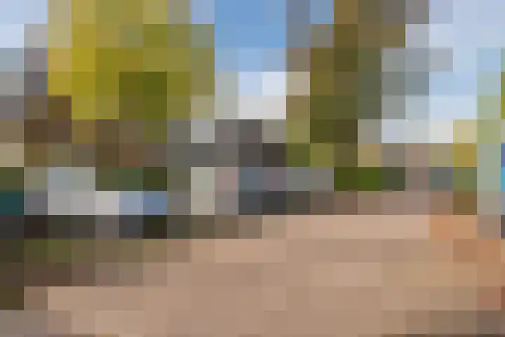 Rietgors 8 Venhuizen thumbnail 36