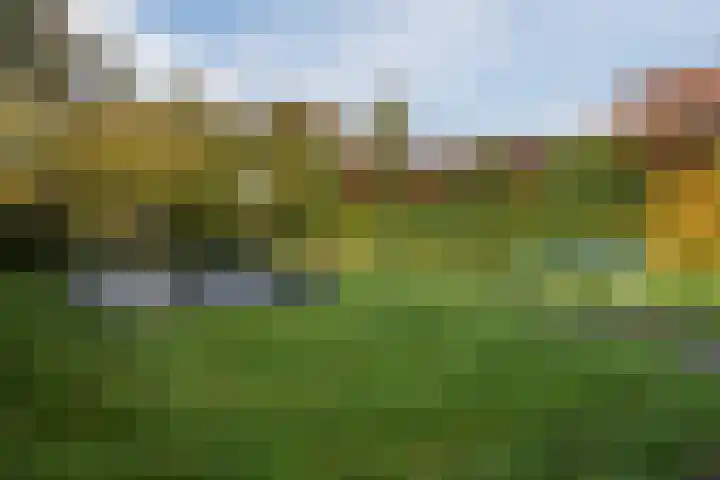 Rietgors 8 Venhuizen thumbnail 37