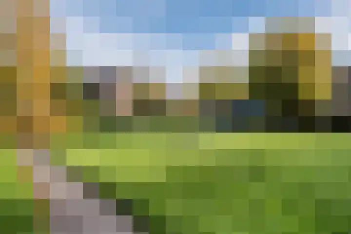 Rietgors 8 Venhuizen thumbnail 38