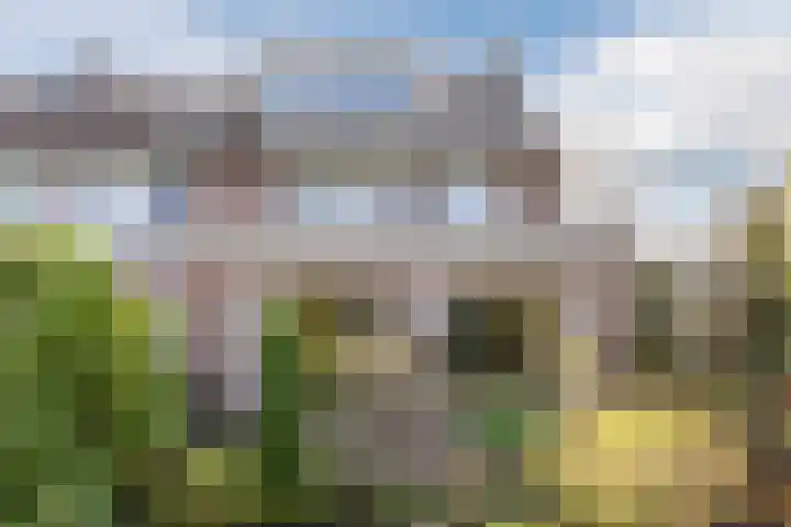 Rietgors 8 Venhuizen thumbnail 4