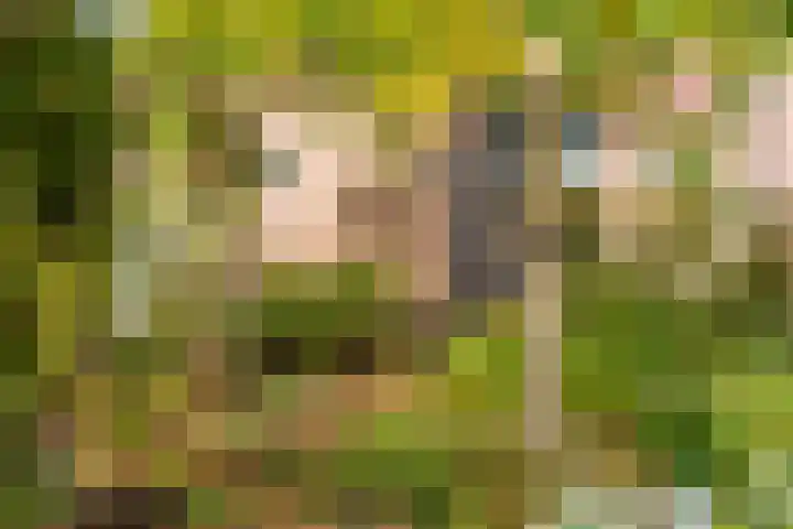 Rietgors 8 Venhuizen thumbnail 5