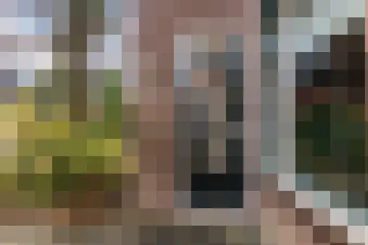 Rietgors 8 Venhuizen thumbnail 6