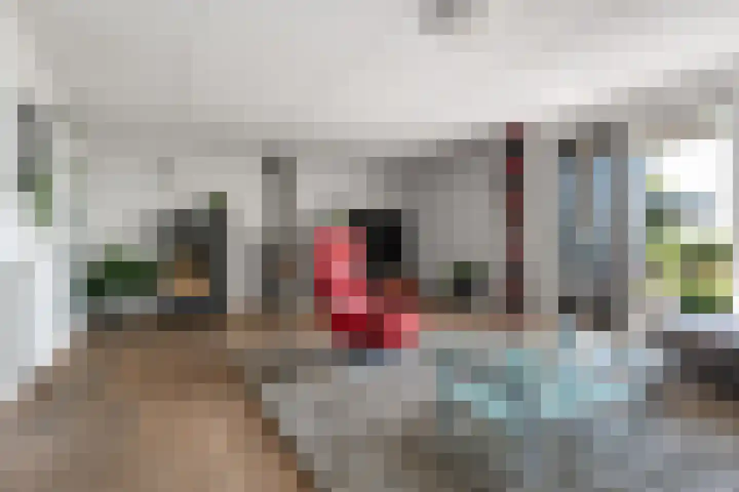 Rietgors 8 Wildervank thumbnail 10