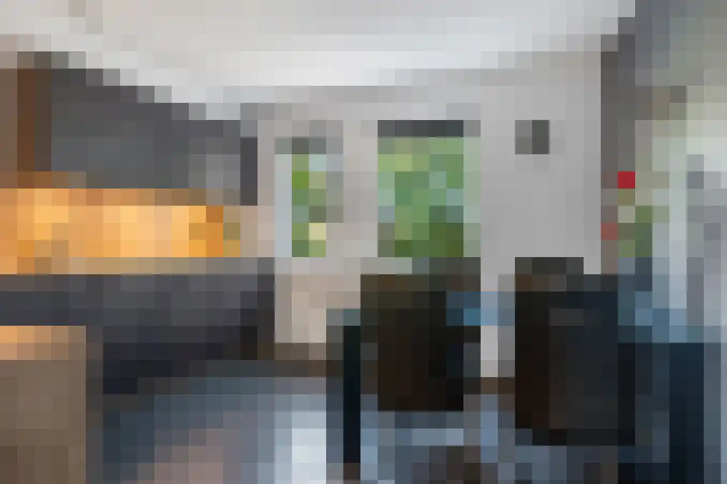 Rietgors 8 Wildervank thumbnail 13